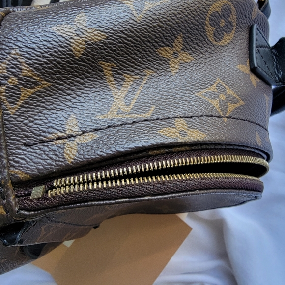 Louis Vuitton Palm Spring Mini Backpack - Picture 14 of 16